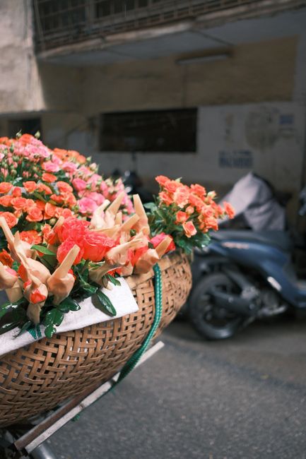 A close-up of a wicker basket filled with fresh, vibrant pink and coral roses, accented with pale cream-colored flowers, all wrapped in white paper with green foliage. The bouquet is secured with a gr