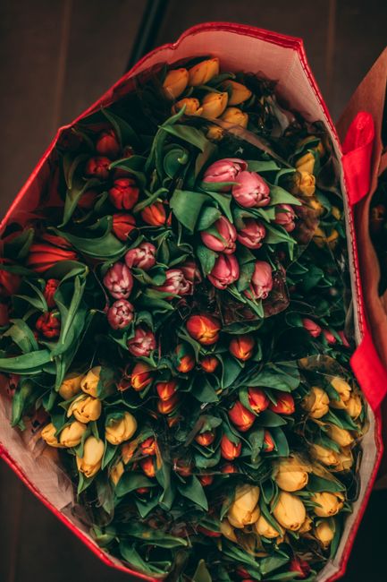 A large bouquet of fresh tulips in shades of yellow, pink, and red arranged in a vibrant red wrapping paper with a satin ribbon. The tulips have smooth, glossy petals and sturdy green stems with broad