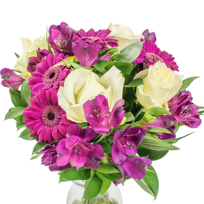 A round, professionally arranged bouquet sits crisply against a white studio background, its colours and textures described as if holding it for someone who cannot see. The arrangement is anchored by several striking magenta Gerbera daisies whose flat, saturated petals radiate from dark, almost intricately patterned centres, offering an immediate focal pop of colour. Creamy white roses weave among them, their petals soft and velvety, unfurling in concentric layers that suggest classic romance and a familiar rose fragrance that hangs subtly in the air. Scattered throughout are rich, deep purple Alstroemeria - Peruvian lilies - identifiable by their trumpet-like forms and the tiny speckles along their inner petals, which introduce delicate visual interest and a slightly exotic undertone. The bouquet's volume is achieved through luxuriant green foliage: broad leaves that provide a glossy backdrop and narrower, sword-like leaves that add vertical rhythm to the otherwise rounded silhouette. A hint of a clear glass vase is visible at the bottom, catching light and balancing the composition against the pure white negative space. As a florist speaking from Mitcham, I imagine this piece placed on a dining table in a home near the Tramlink, or sent as a joyful birthday or thank-you bouquet to a neighbour on Cricket Green Road. The overall mood is bright and welcoming, yet crafted with the attention to proportion and freshness one expects from an attentive local hand. It conveys warmth, celebration, and an understated elegance suitable for gifting or as a polished focal point in a living space.