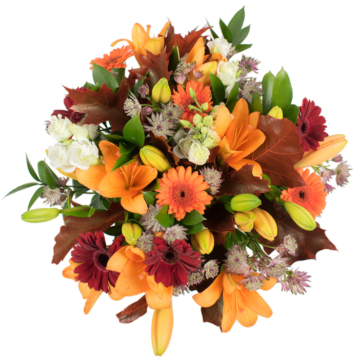 This image captures a dense, skillfully arranged autumn bouquet from an overhead viewpoint, set against a clean white backdrop so every colour and texture reads clearly. Dominant in the mix are several fully expanded orange Asiatic lilies whose broad petals flare outward, immaculate and saturated with orange hues that range from apricot to deep pumpkin at the throat. Intermingled are both bright orange and rich burgundy-red Gerbera daisies, each with their characteristic dark centers and crisp, radiating petals that bring a lively, almost sunlit quality to the arrangement. Soft, creamy-white lisianthus flowers appear in clusters, their ruffled petals offering tender, tactile contrast to the bolder blooms. Threads of muted purple and lavender Astrantia act as delicate filler, introducing fine, star-shaped clusters that give the bouquet an intricate, airy texture. Large, lobed leaves in deep reddish-brown-reminiscent of fall oak or maple-are positioned to mimic fallen foliage and reinforce the seasonal theme, while fresh green leaves and slim stems provide the living framework that lifts the composition. The piece feels freshly prepared, lush and abundant, evoking harvest-time warmth and the slow, comforting scent of late-season flowers. The lighting is bright and even, making each hue pop against the white background and highlighting the florist's careful layering. This seasonal design would translate beautifully to Thanksgiving tables, autumnal events, or as a heartfelt gift delivered within Mitcham, whether near Mitcham Junction, around the Market, or close to Phipps Bridge.