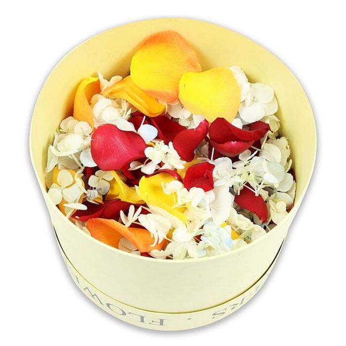 A beautifully composed photograph presents a pale cream hatbox brimming with a rich mix of dried petals and small florets, captured as if ready to be opened at a funeral or celebration-of-life service in Mitcham. The cylindrical box, likely made from quality paperboard, has a gentle, off-white hue that feels soft and understated, helping it blend into solemn settings without drawing attention away from its purpose. Subtle, debossed lettering along the side hints at the word FLOWERS, adding a discreet decorative touch. Placed against a pure white background, the box and its contents are clearly visible, with no distractions. Viewed from a slightly elevated angle, the petals form a rounded mound above the rim, suggesting abundance and generosity. Deep crimson rose petals dominate the mix, their velvety surfaces richly coloured, some folded inward like cupped hands, others spread open, each one a symbol of affection, respect, and heartfelt farewell. Interspersed with these bold hues are petals in vibrant yet soft yellow and warm peach-orange, which introduce a sense of light, hope, and the gentle joy of cherished memories, reminiscent of peaceful walks through Mitcham Common or quiet corners of local churchyards. Between the larger petals, tiny white hydrangea-like florets are scattered in light clusters, their fine, papery texture and multi-petal forms adding intricate detail and a weightless feel, as if a soft veil has been laid across the arrangement. A whisper of pale blue appears in a few of these florets, adding cool highlights among the warmer tones. The overall effect is serene and versatile, ideal for scattering along a funeral aisle, decorating a remembrance table, or filling keepsake boxes for family members in Mitcham, offering a natural, eco-conscious way to honour and remember a loved one.