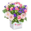 With a joyful, welcoming air, this Mitcham floral arrangement is a tribute to the area's gardens and green spaces. The bouquet, presented in a shining white square pot, bursts with a multitude of blooms-most notably, a generous collection of soft pastel and vivid pink roses, ranging from newly opening buds to fully bloomed, rounded flowers. Light, feathery-petaled gerbera daisies in soft pink are scattered throughout, their glowing yellowish centers visible and inviting towards the arrangement's front and lower edges. Adding depth and a playful pop of colour, small clusters of deep purple limonium and fluffy white filler blossoms are artfully woven between the larger blooms, balancing the palette. Glossy green foliage surrounds and elevates the composition, infusing it with a sense of life and freshness one might experience on a stroll through Figges Marsh. The white pot, decorated with a cheerful red ladybug and the phrase "Little stars" in bright green script, offers a lighthearted finishing touch. The bouquet's colours and textures stand out vividly in the pure white setting, making it a perfect choice for celebrating milestones, expressing gratitude, or sending heartfelt get-well wishes-delivered with care straight from the heart of Mitcham.